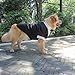 Dog Costume Large Dog Tuxedo Bandana Suit 2-Piece Removeable,Dogs Wedding Attire Outfit for Large and Medium Dogs,Golden Retriever, Labrador, Samo,Bulldogs