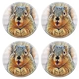 MSD Round Coasters an American brown squirrel