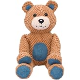 Floppy Honey Bear