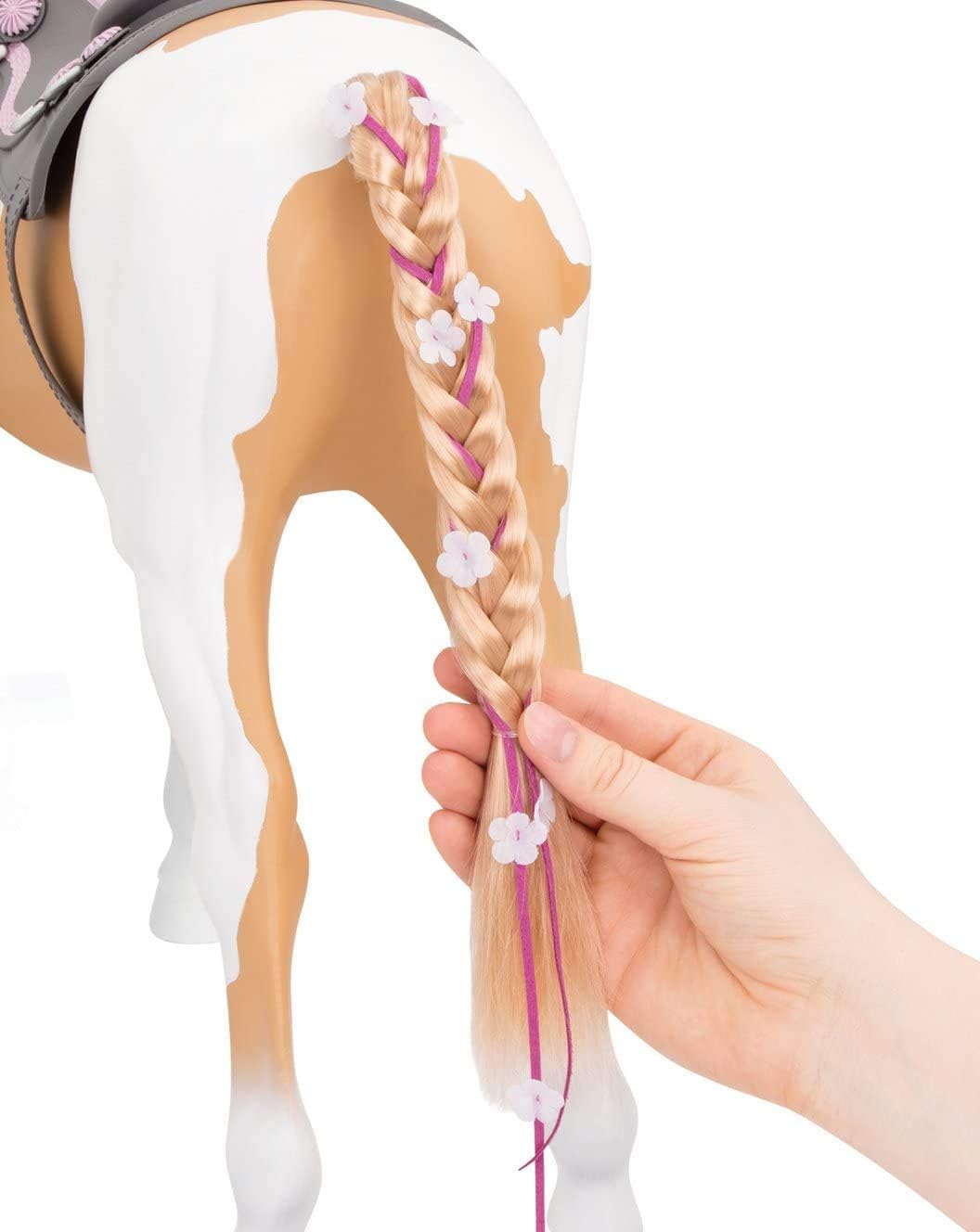 our generation palomino