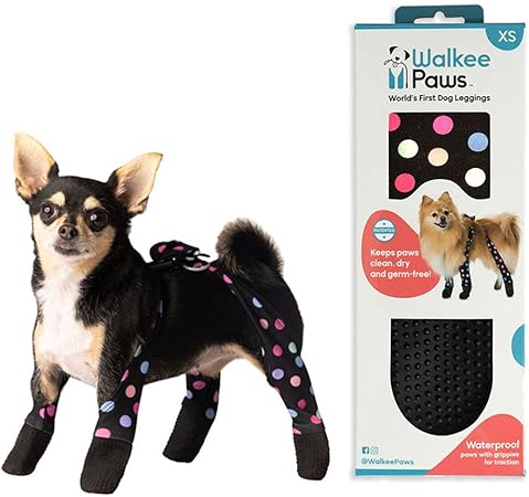 all paws great and small