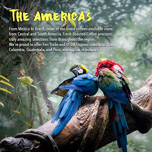 5 Roasted+Coffee+LLC+Unroasted+Tarrazu