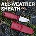 Morakniv Eldris Fixed-Blade Pocket-Sized Knife with Sandvik Stainless Steel Blade, Lanyard and Firestarter, 2.2-Inch
