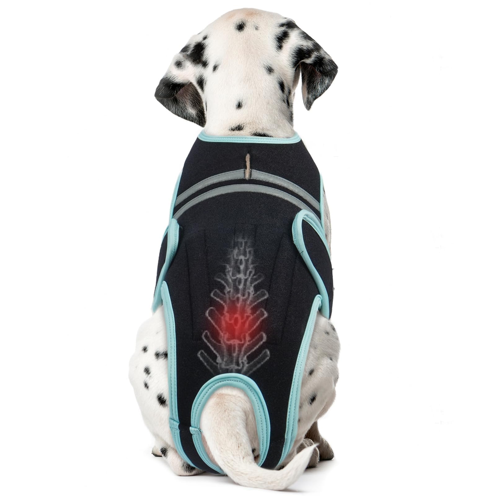 Photo 1 of LETSQK Dog Back Brace, Breathable Dog Post-Surgery Vest for IVDD, Arthritis & Spine Support, Adjustable Reflective Pet Back Bracer Pain-Relieving Harness, Black S