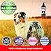 Wild Alaskan Salmon Oil for Dogs 16oz – Soft Shiny Coats, Dry Skin, Itching, Shedding & Allergies - Pure Natural Omega 3 Fish Oil for Dogs Liquid Pump - Multiple Benefits - Fish Oil Dogs Cats & Pets