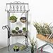 Large Black Metal Freestanding Scrollwork French Trolley Cart Plant Stand w/ 4 Hanging Flower Pot Basketsthumb 3