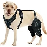 LISPOO Dog Knee Brace for Both Hind Legs with Hinged ACL Support, XL | Metal-hinged knee support with breathable fabric, adjustable chest and leg straps for ACL/CCL, patella &amp; post-surgery support