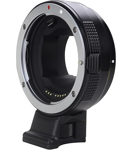 Amazon.com : Sony LA-EA1 A to E Mount Lens Adapter for NEX