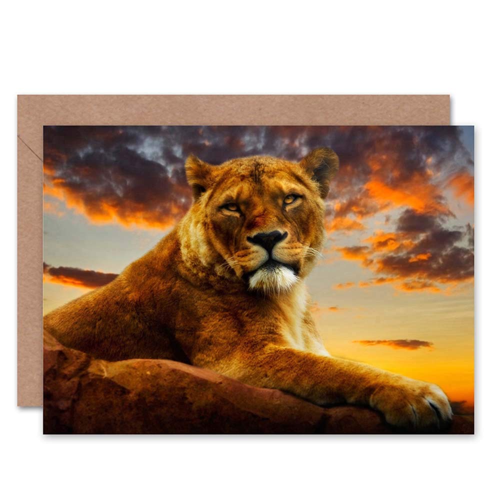 Wee Blue Coo LIONESS AFRICAN SUNSET PHOTO BIRTHDAY GIFT BLANK GREETINGS CARD
