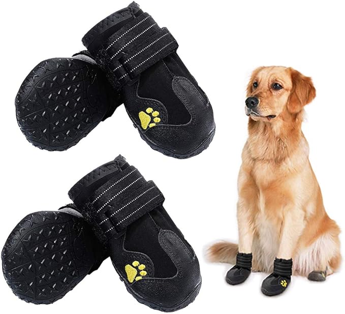 dog shoes shopee