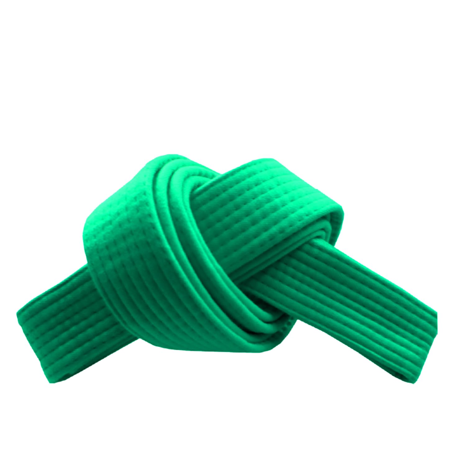 RingMaster Sports Grading Belts 9 Plain Colour for Karte Judo Taekwondo Martial Arts Training Competition | 230cm, 250cm, 280cm, 320cm (Green, 250 cm)