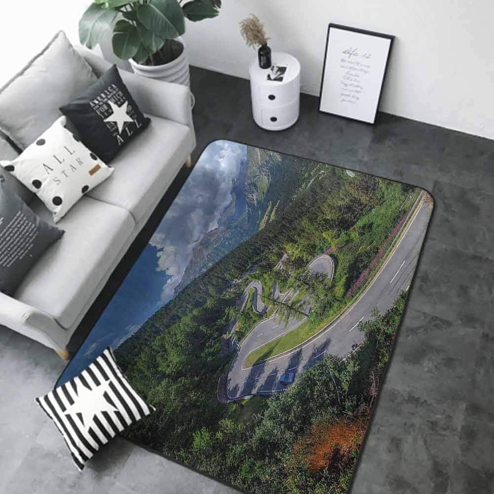 Large Floor Mats for Living Room Colorful Outdoor,Natural View of Maloja Pass Alps Switzerland Europe Mountains Forest Highway,Green Grey Blue 80"x 96" Rugs for Outside