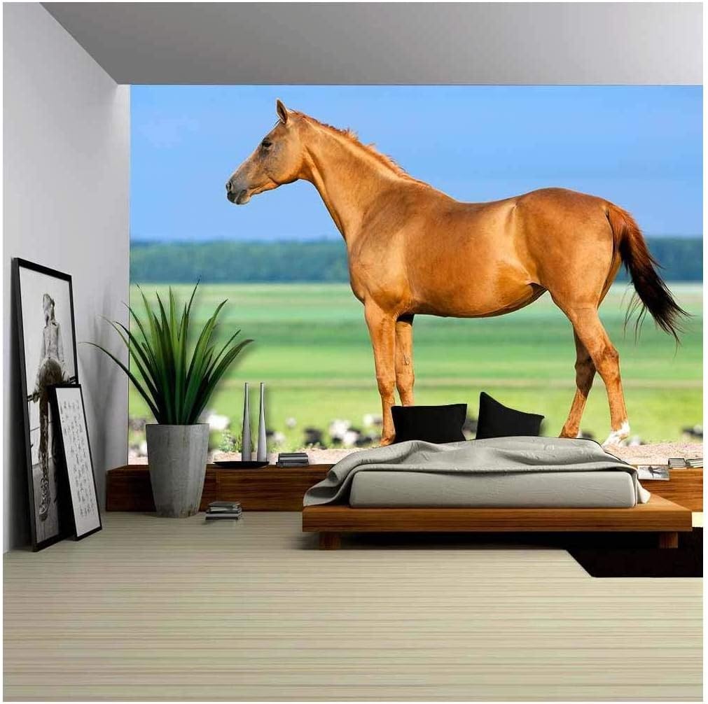 wall26 - Chestnut Budenny Horse Looking on The Cows at Field. - Removable Wall Mural | Self-Adhesive Large Wallpaper - 100x144 inches