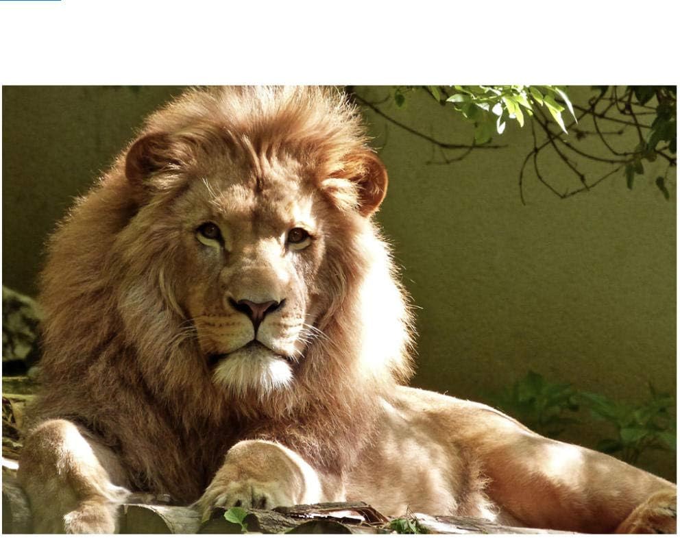 MSFX Animal Brown Lion Jigsaws Puzzles 200 Pieces Diy Art Style Wood Toys Games Educational For Kids And Adults