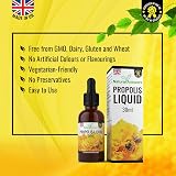 Natural Answers Bee Propolis Liquid 30ml Alcohol-Free Skin & Throat Health view 4