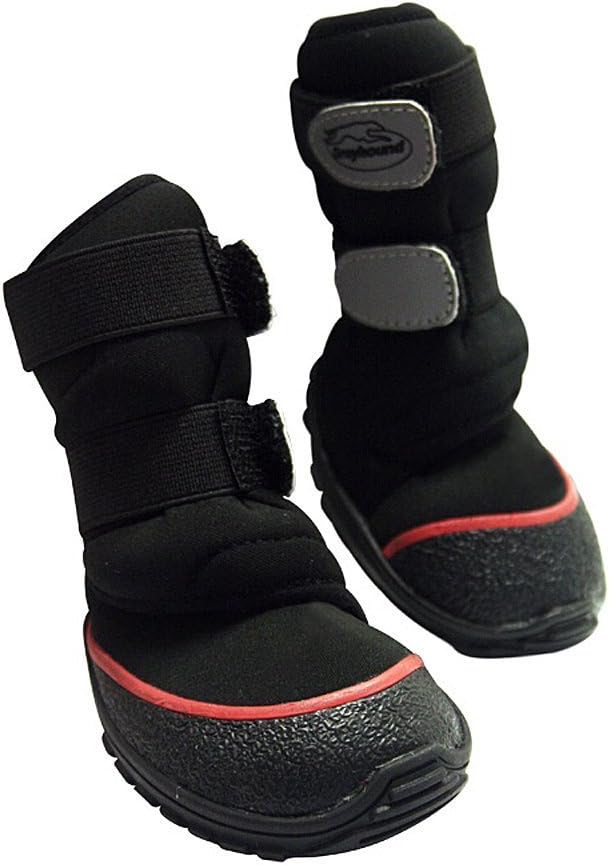 greyhound in snow boots