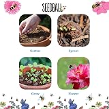 Seedball Wildflower Seed Bombs Wildlife Collection 6 Packs UK view 5