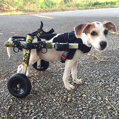 Walkin' Wheels Dog Wheelchair - for Small Dogs 11-17 lbs - Veterinarian Approved - Wheelchair for Back Legs Walkin' Wheels Dog Wheelchair - for Small Dogs 11-17 lbs - Veterinarian Approved - Wheelchair for Back Legs