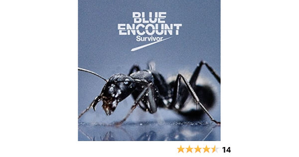 Blue Encount Survivor Cd Dvd Japan Ltd Cd Kscl 2703 Blue Encount Amazon Ca Music