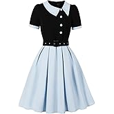 Wellwits Women's Asymmetric Cut Collar Smart Work Cocktail Vintage Dress