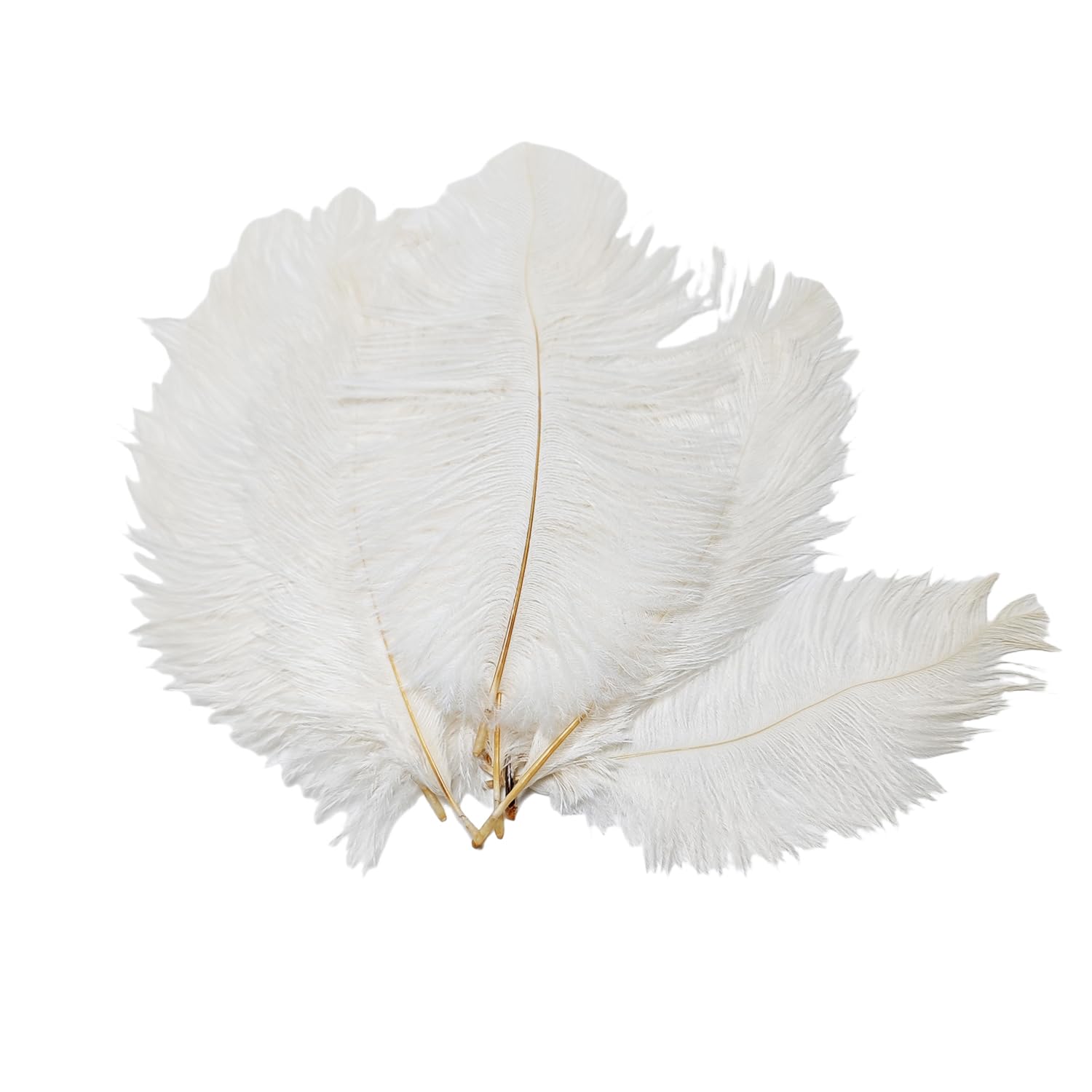 50PCS 6-8inch Small Size White Fullness Natural Ostrich Feathers DIY Craft Feather Home Decor for Wedding Sewing Crafts Costumes Decoration