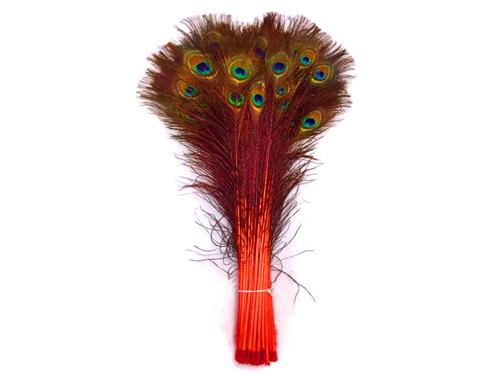 Feather Store - 10 Real Dyed Peacock Eye Feathers 30-35" - Perfect for Crafts, Weddings, Halloween, Home Decor, Peacock Feathers for Vase, Peacock Feather Decorations, and More - Orange