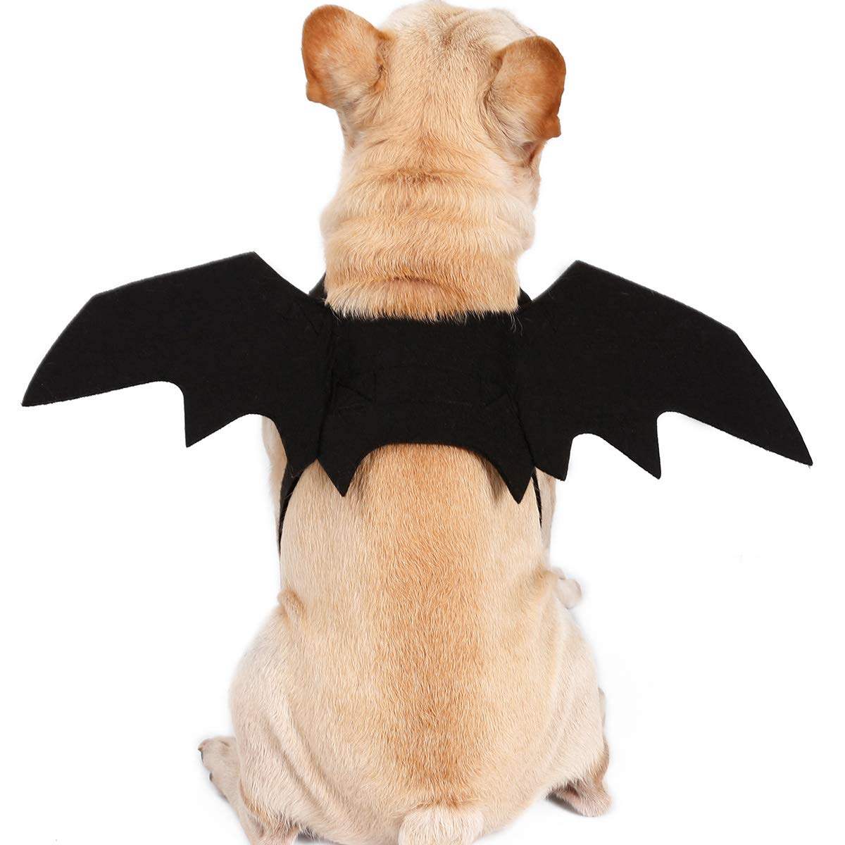 BbearT® Pet Halloween Clothes,Felt Cloth Bat Wings Dress Up Dog Halloween Costume Apparel for Cats Small Dogs Medium Dogs Large Dogs (Medium)