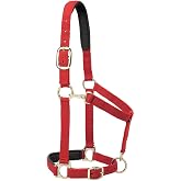 Weaver Equine Breakaway Horse Halter, Comfort Foam Padding, Adjustable Chin &amp; Throat Snap Halters for Horses, Equine Tack,Average Size, Solid Red