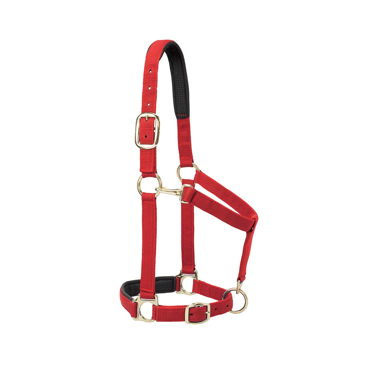 Weaver Leather Padded Adjustable Chin and Throat Snap Halter, 1" Average Horse or Yearling Draft, Solid Red