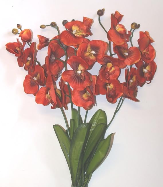 25 x BURNT ORANGE SILK ORCHID's FLOWERS for flower arangements Amazon.co.uk Kitchen & Home