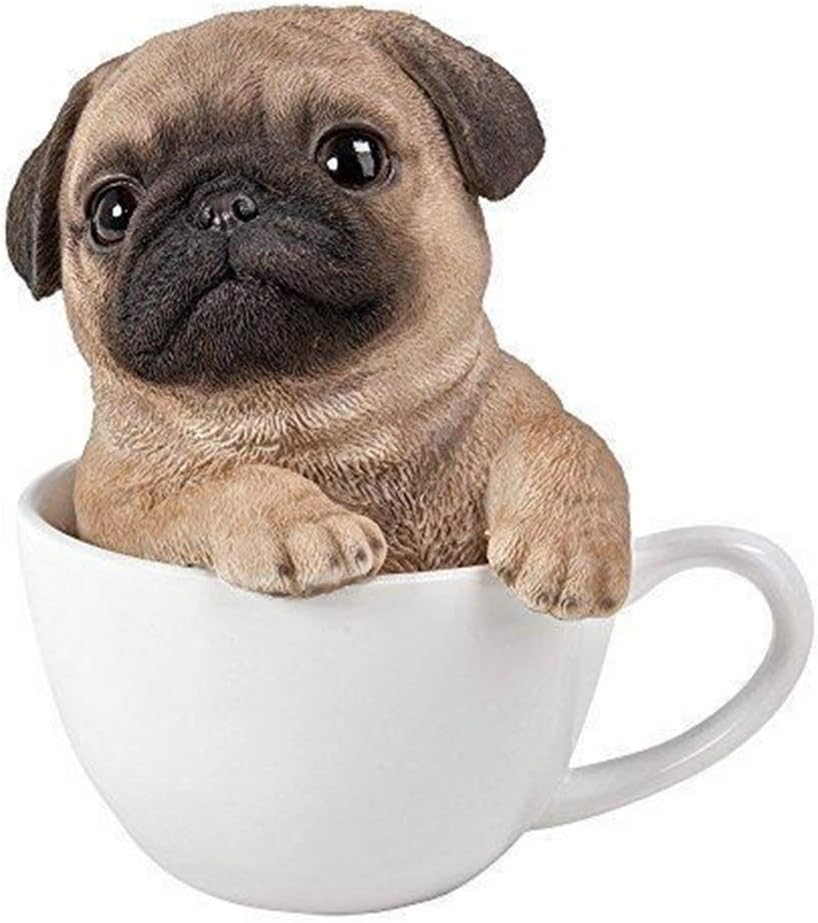 pug in teacup