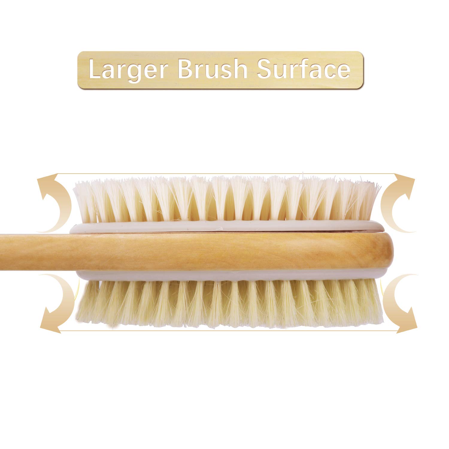 Shower Brush with Soft and Stiff Bristles, for Exfoliating Skin and A Soft Scrub, Double-sided Brush Head for Wet or Dry Brushing, Specially Long Wooden Handle Cleans the Body Easily : Beauty