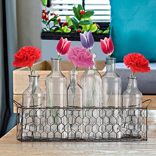 Bud Flower Vases in Chicken Wire Basket for WindowSill Display