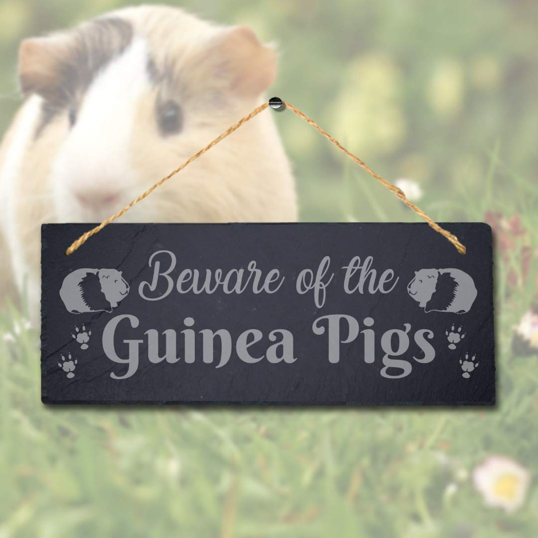 Stukk Beware of The Guinea Hanging Pig Cote Pigsties Sign, Natural Engraved Slate Stone Plaque, 30x12cm