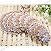 Surepromise 24pcs Vintage Lace Crochet Motifs Mini Doilies 5-19cm White Beige Decoration