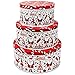Gift Boutique Christmas Nesting Cookie Tin Boxes with Metal Lid Cover, Set Of 3 Holiday Treat Goody Containers Party Favor Supplies: Red Santa and Candy Cane Design