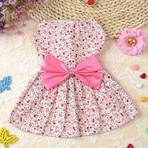 Pet Dog Puppy Summer Wedding Party Dress Clothes, Fancy Ribbon Flower Skirt, Cute Love Heart Princess Apparel (M, Red)