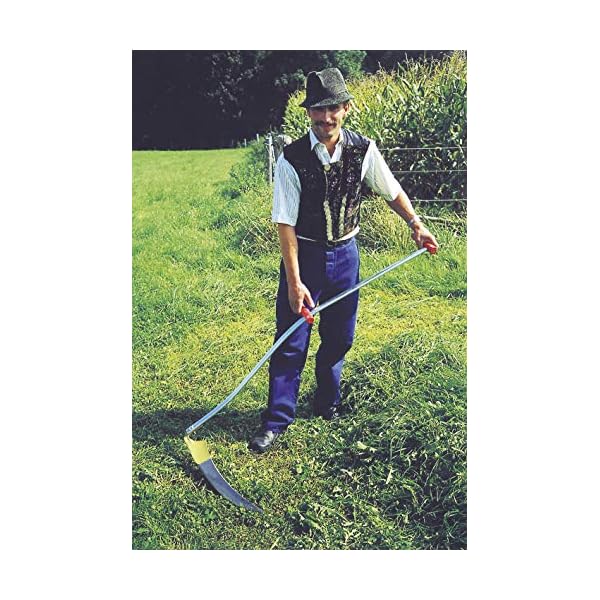 Kerbl 50305 Klappsense Wettschliffsense 65 cm mit Sensenworb, 150 cm – Bild 3