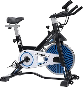 LABGREY Indoor Cycling Bike Stationary, Silent Belt Drive Exercise Spin Bikes For Home Cardio & Resistance Training Workout with LCD Monitor, Comfy Seat, iPad Holder