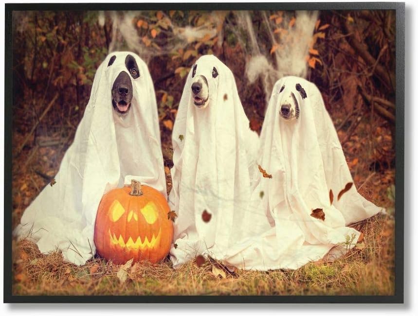 Paintings - Stupell Industries Vintage Photography Halloween Pumpkin and Ghost Dogs Black Framed Wall Art, 11 x 14, Design by Artist Daphne Polselli