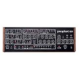 Sequential Prophet-10 Module 10-voice Polyphonic