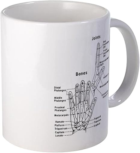 Amazon Com Cafepress Hand Anatomy Mugs Unique Coffee Mug Coffee Cup Kitchen Dining