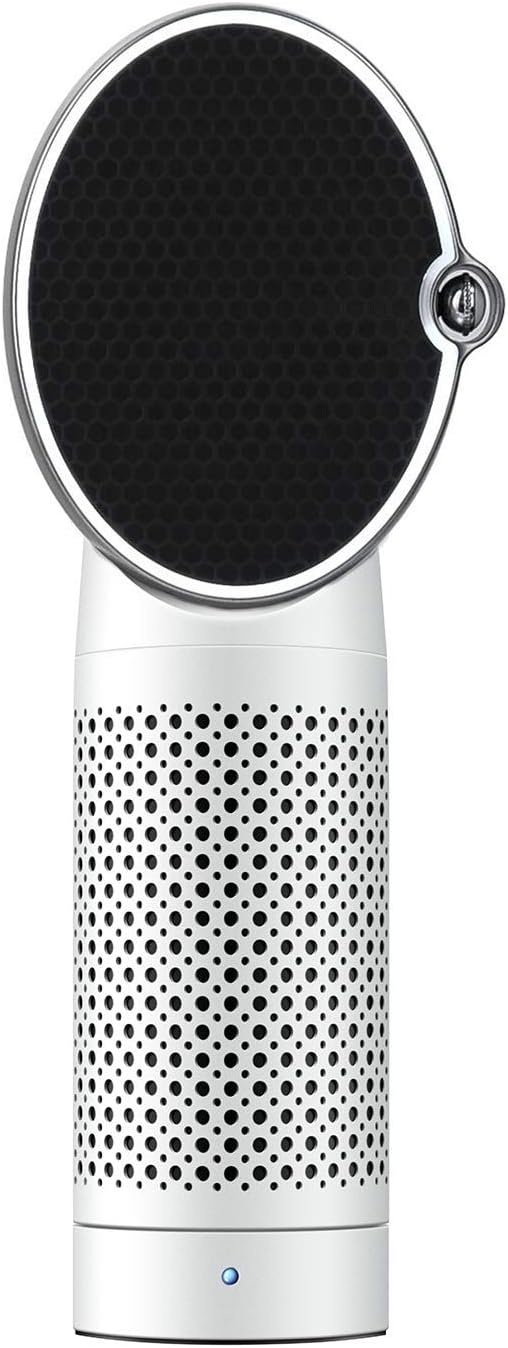 QUEENTY Air Purifier for Home Desktop Office Bedroom,True HEPA & Activated Carbon Filter with Negative Ion Generator, USB Air Cleaner with Night Light for Allergies, Cigarette Smoke, Bacteria, FW02