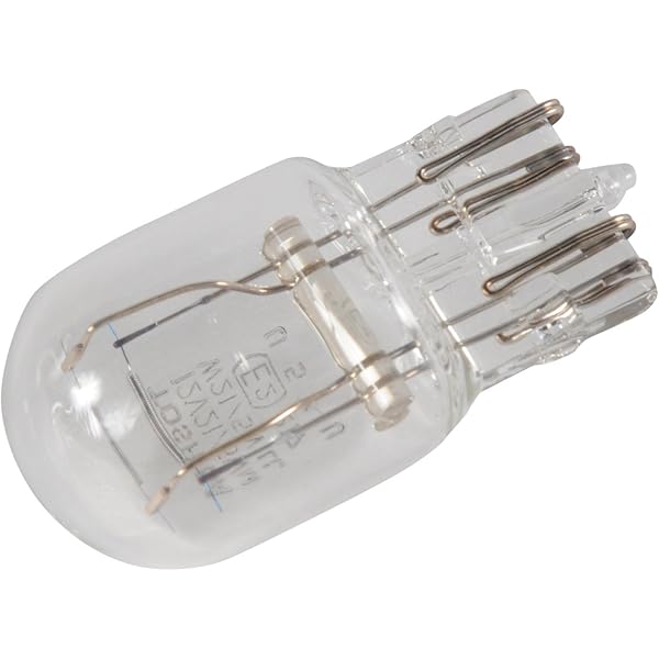 Amazon.com: ACDelco GM Genuine Parts 13503360 Multi-Purpose Light 