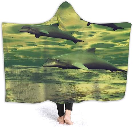 dolphins gear amazon