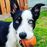 SPORTSPET Tough Bounce Natural Rubber Dog Balls 65mm 4 Pack view 4