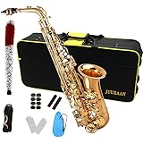 JUUXAAN Alto Saxophone Eb beginner Saxophone includes brush canvas suitcase glove whistle piece cork plaster wipe cloth neck