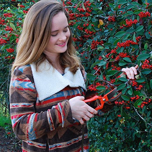 Professional Pruning Shears - Best Heavy Duty Hand Pruners for Serious Gardening - Versatile, Ergonomic, Razor Sharp Steel Garden Clippers, Tree Trimmers + Holster! - Image 8