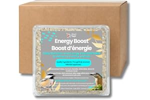 Chirp & Maple, Energy Boost, High-Energy Suet for Wild Birds, Wild Bird Food (18-Pack) 5.4KG