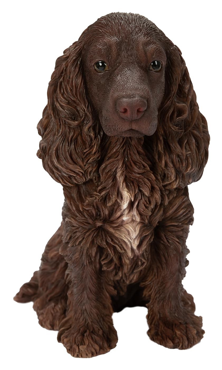 Vivid Arts - Chocolate Brown Cocker Spaniel - XRL-CSP5-D